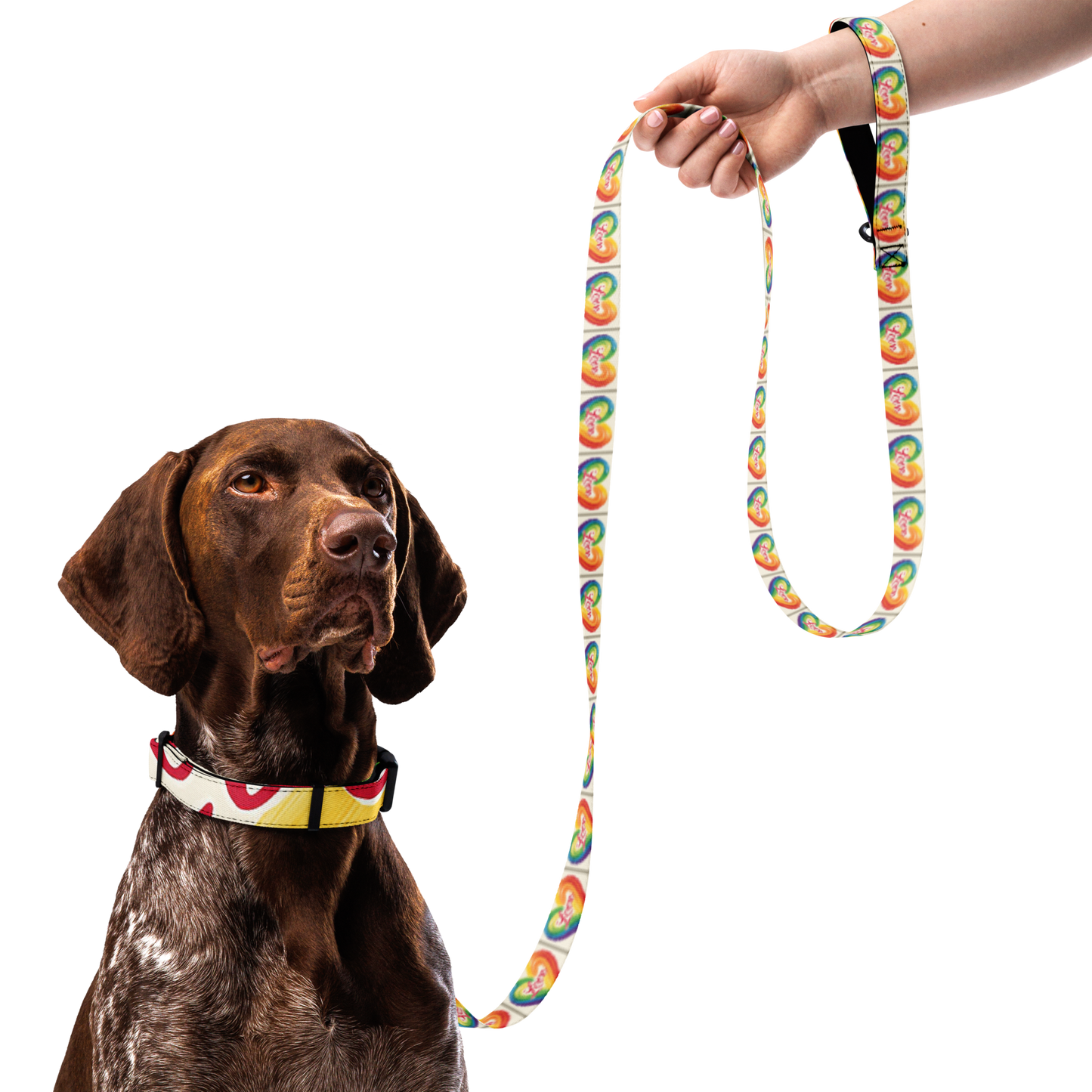 Love and Rainbows - Pet collar & leash