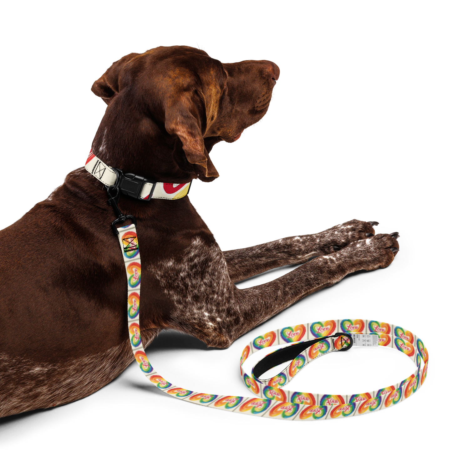 Love and Rainbows - Pet collar & leash